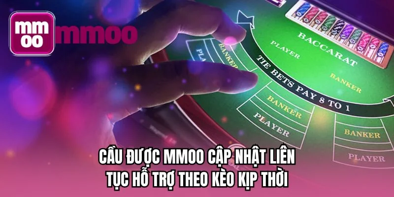 Cầu được MMOO cập nhật liên tục hỗ trợ theo kèo kịp thời
